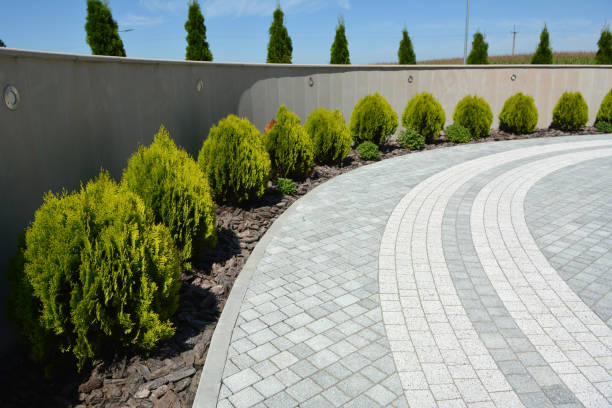 Best Commercial Driveway Pavers  in Martinsville, NJ